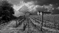 91 - BEFORE THE STORM - VANHERLE CLEMENT - belgium <div